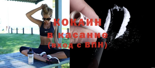 крисы Елабуга