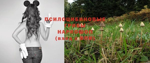 jwh Ельня