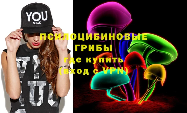 2c-b Елизово