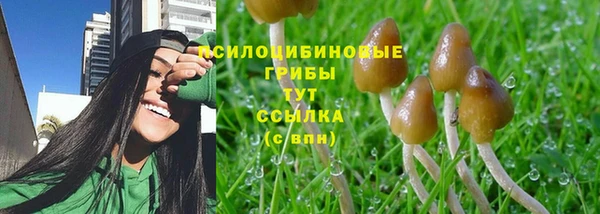 крисы Елабуга