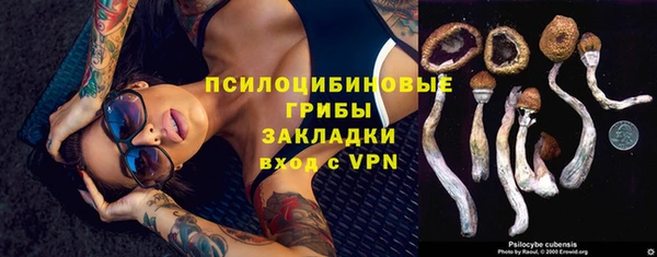 Альфа ПВП Заволжье