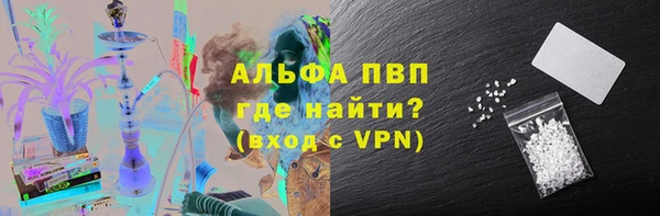 спиды Заводоуковск
