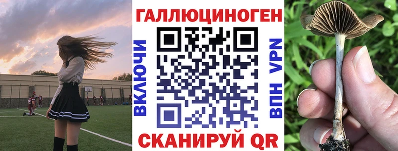 Галлюциногенные грибы мухоморы Питкяранта